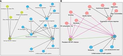 Risk factors for the development of cervical cancer: analysis of the evidence